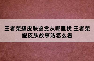 王者荣耀皮肤鉴赏从哪里找 王者荣耀皮肤故事站怎么看